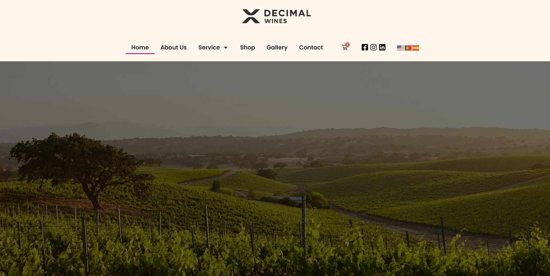Landing Page En Venezuela