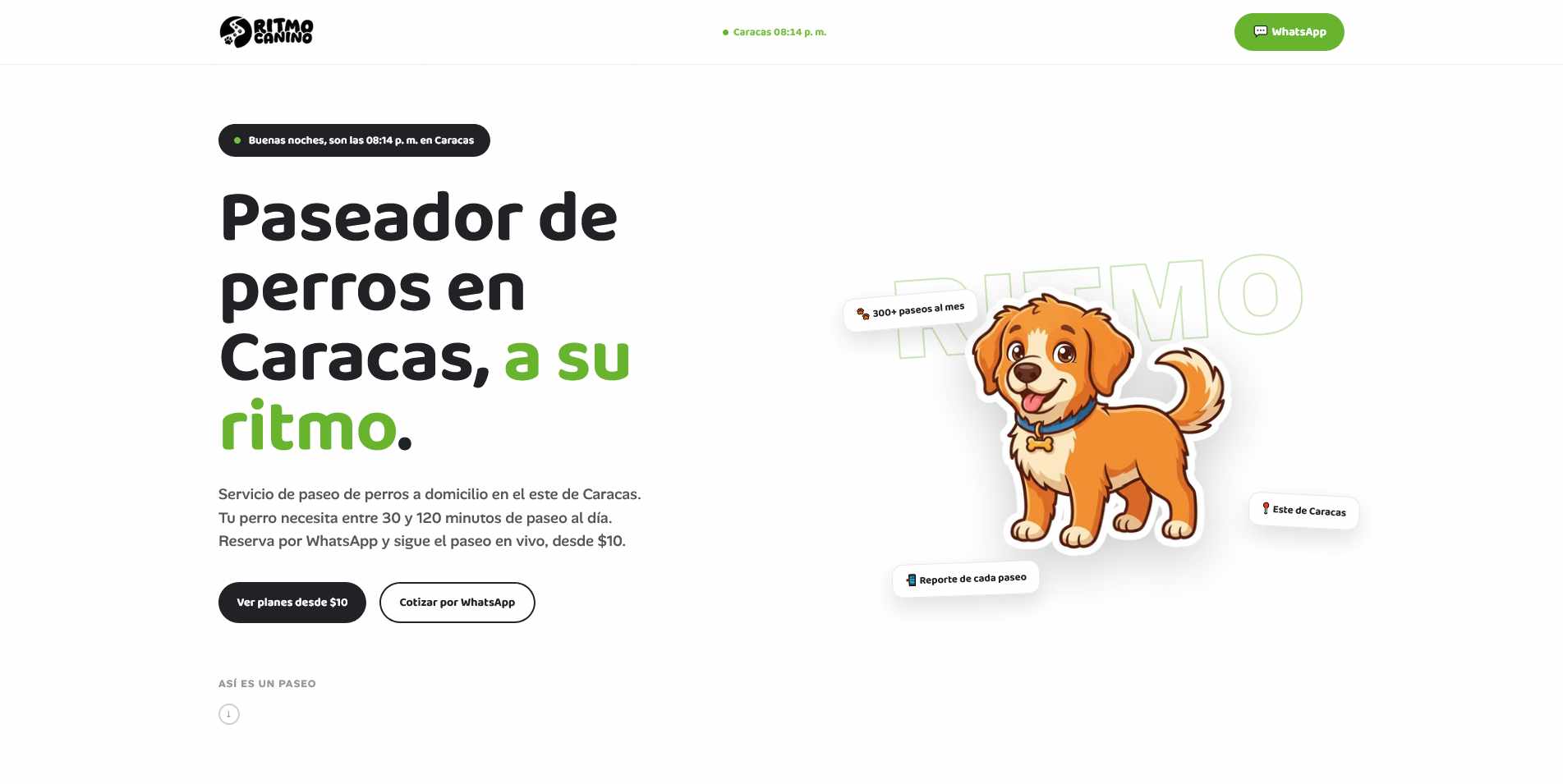Landing Page En Venezuela